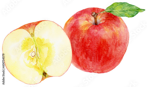葉がついたリンゴと半分にカットされたリンゴの水彩画イラスト