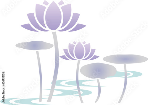 淡い色の蓮の花