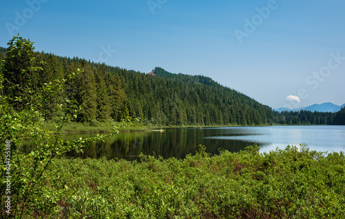 Beautiful forest lake. Quiet forest lake on a summer day. On the shore there are coniferous and deciduous trees