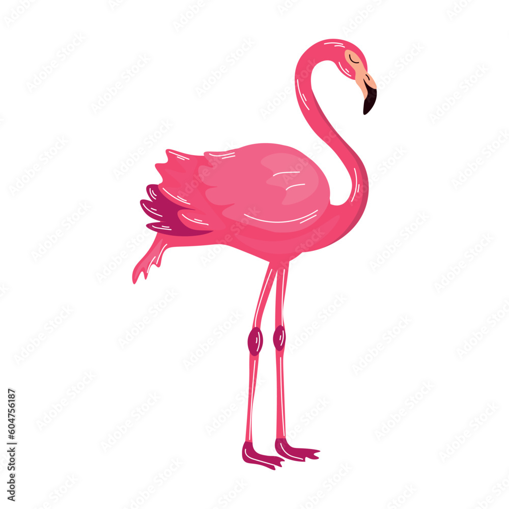 Fototapeta premium Beautiful pink flamingo on white background