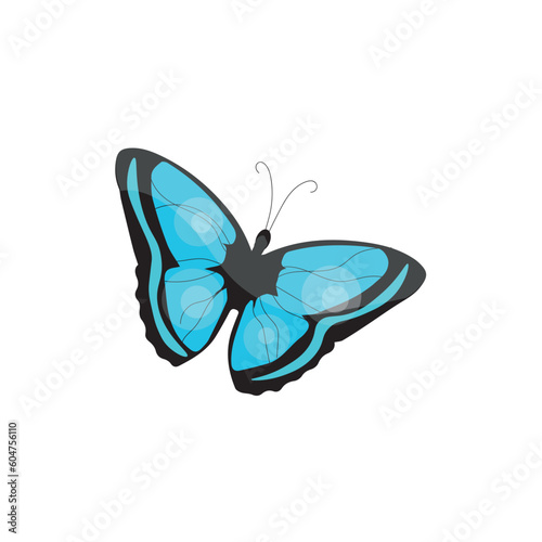 Beautiful blue butterfly on...