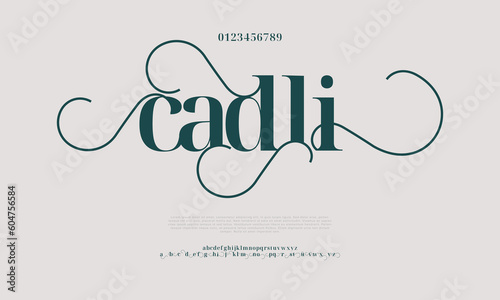Cadli elegant alphabet letters font and number. Classic Lettering Minimal Fashion Designs. Typography modern serif fonts decorative vintage design concept. vector illustration