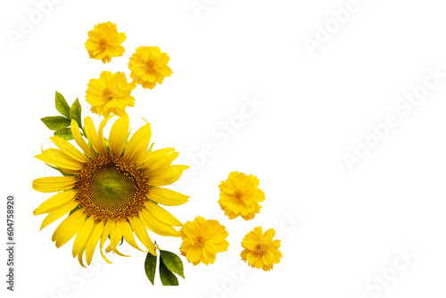 Fototapeta Naklejka Na Ścianę i Meble -  yellow flowers sunflowers, cosmos arrangement flat lay postcard style