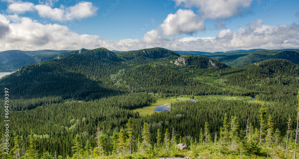 Wonderful panorama of the wilderness in the boreal forest, above the mountains, Charlevoix, QC, Canada - obrazy, fototapety, plakaty 