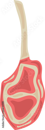 Ribs Meat Eid Al-Adha Illustration