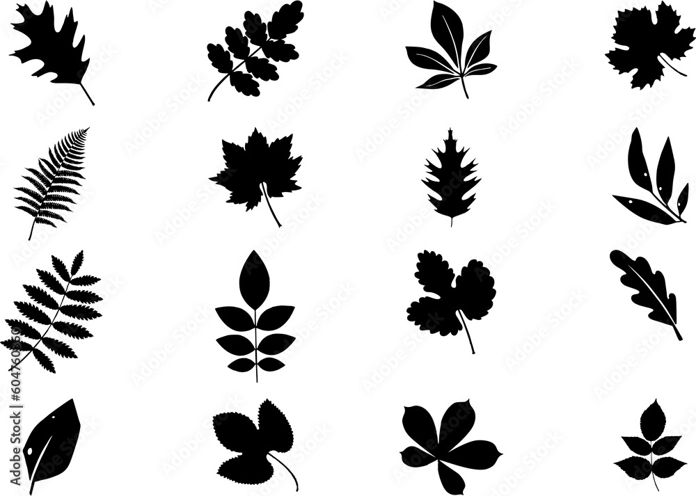 Collection of different plant leaf icons. Leaves icon.Leaves of Different trees and plants. Elements design for natural, eco, bio, vegan labels, banner and posters. 