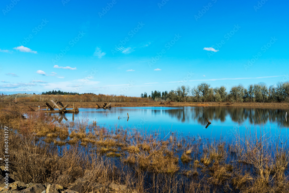 Jackson Bottom Wetlands Preserve, Hillsboro, Oregon