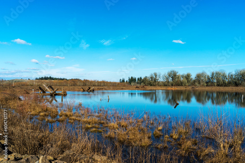Jackson Bottom Wetlands Preserve  Hillsboro  Oregon