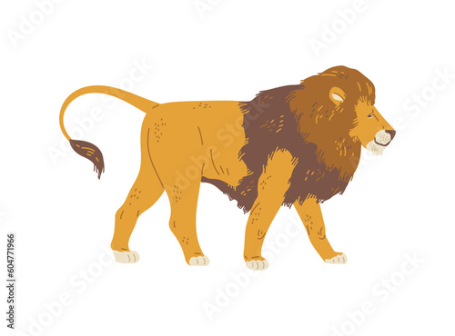 Lion with big mane walking, flat vector illustration isolated on white background.