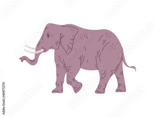 Big going elephant with two tusks flat style  vector illustration