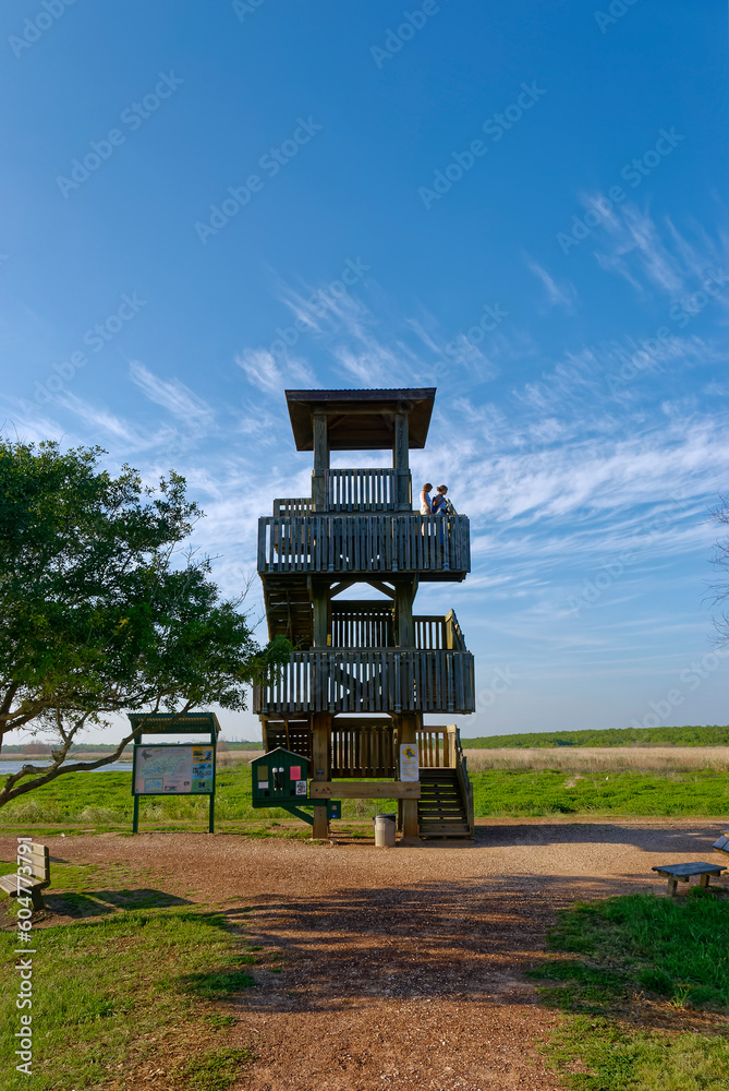 Two Women looking out over Pilant Lake and Marshes from the Timber Observation Tower at 40 Acre Lake at the Brazos Bend State Park in Texas. Two Women looking out over Pilant Lake and Marshes from the Timber Observation Tower at 40 Acre Lake at the Brazos Bend State Park in Texas.