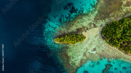 Fototapeta Naklejka Na Ścianę i Meble -  Drone, island and water for travel, adventure and exploring nature from above. Empty, paradise and top view of tropical nature, beauty and scenery in Indonesia for traveling, tourism and vacation