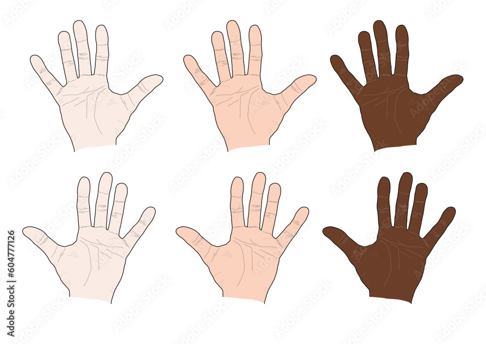 hand palm 手掌 てのひら hand palm 手掌 てのひら