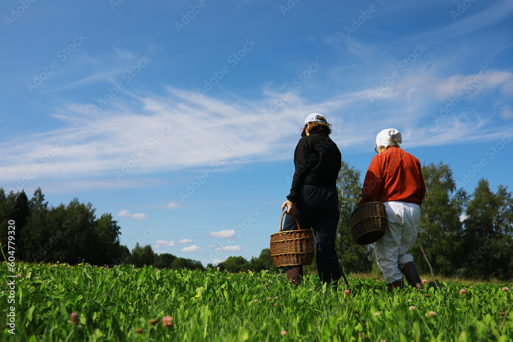 The forester collects mushrooms in the forest. Harvesting wild mushrooms. Hike to the forest park with fly agarics. The forester collects mushrooms in the forest. Harvesting wild mushrooms. Hike to the forest park with fly agarics.