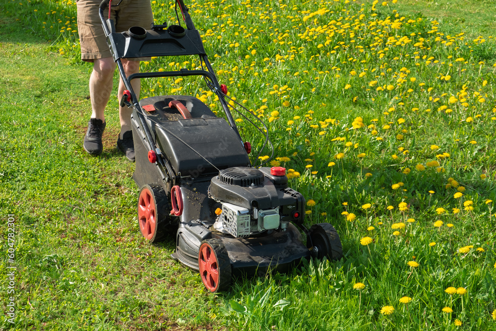 Man mowing fresh grass in the backyard garden plot with a gasoline lawn mower. Mowing dandelions. Lawn care, spring work in the garden. Only the legs in the sneakers are visible. Man mowing fresh grass in the backyard garden plot with a gasoline lawn mower. Mowing dandelions. Lawn care, spring work in the garden. Only the legs in the sneakers are visible.