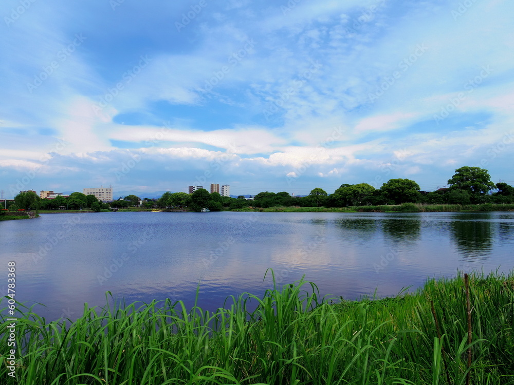江津湖(熊本県熊本市) 江津湖(熊本県熊本市)