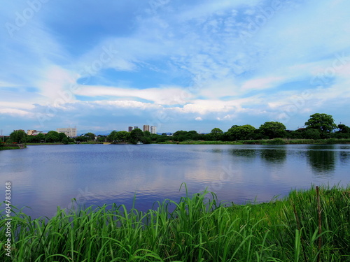 江津湖(熊本県熊本市)