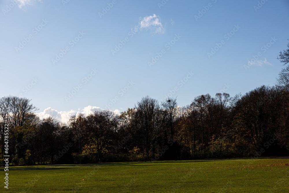 Trees, sky and field in a park