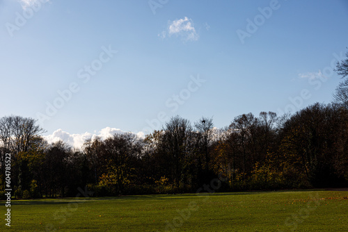 Obraz na płótnie Trees, sky and field in a park w salonie