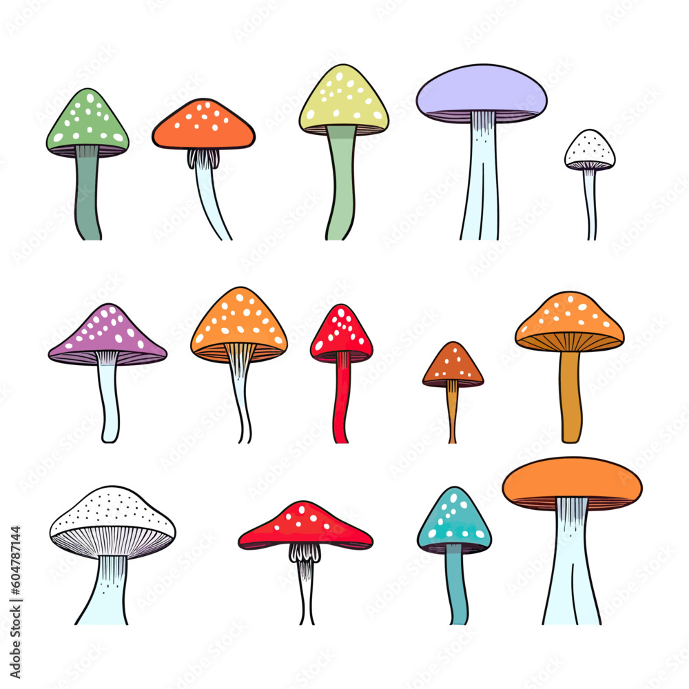 illustration of a set of mushrooms illustration of a set of mushrooms