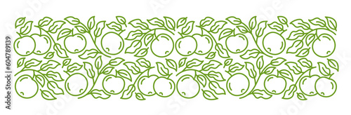 Apple fruit line ornament. Branches leaves and fruit. Editable outline stroke. Vector line.