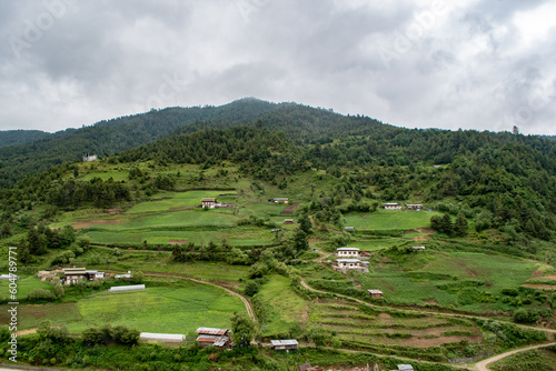 A typical Bhutanese hamlet, with traditional houses surrounded by agriculture fields, which are in turn bordered by forest.