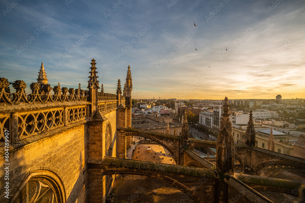 View of Seville from the rooftops of the cathedral at the sunset. Golden hour.