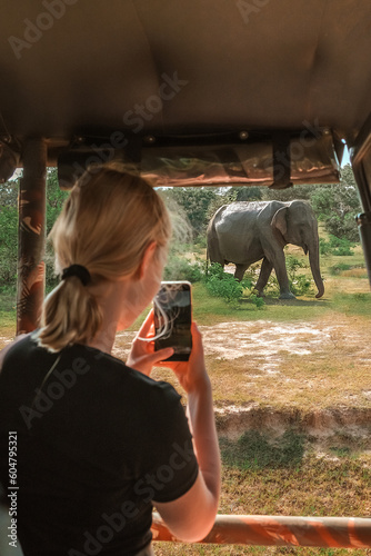 Photography Wildlife safari