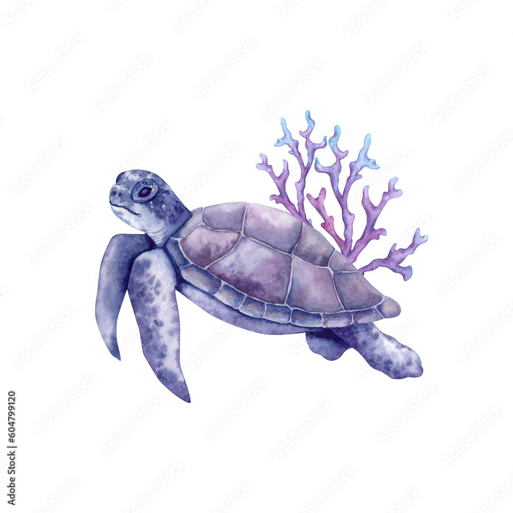 Fototapeta premium Sea turtle and corals. Underwater animal blue violet color drawn in watercolor by hand on white background. Side view.
