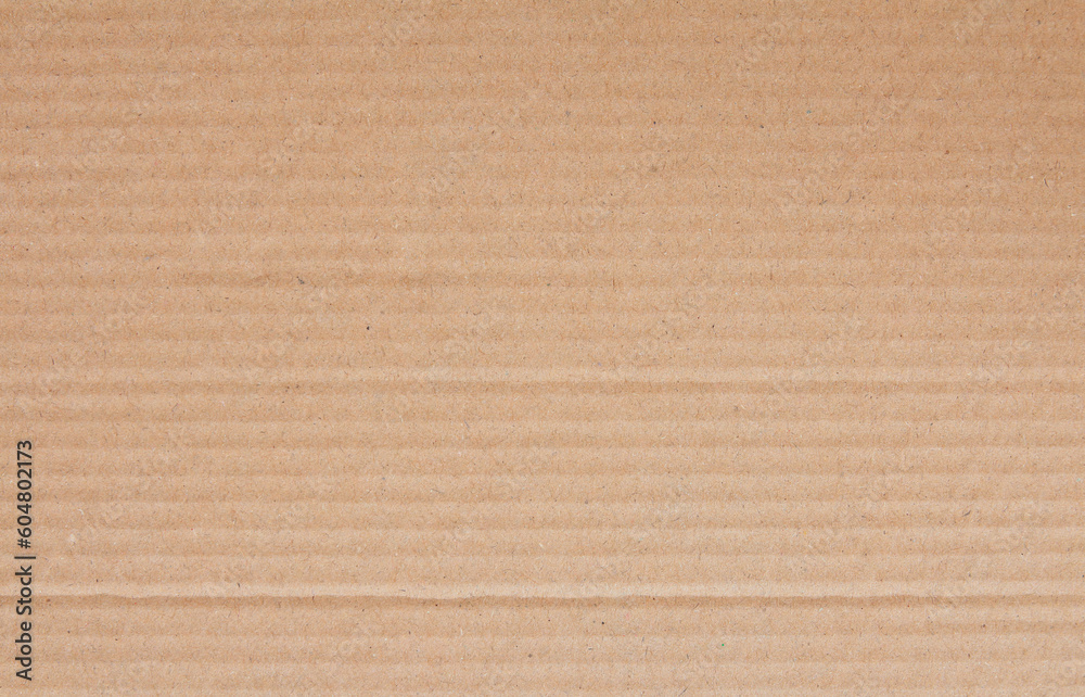 Fototapeta premium Cardboard sheet texture background, detail of recycle brown paper box pattern.