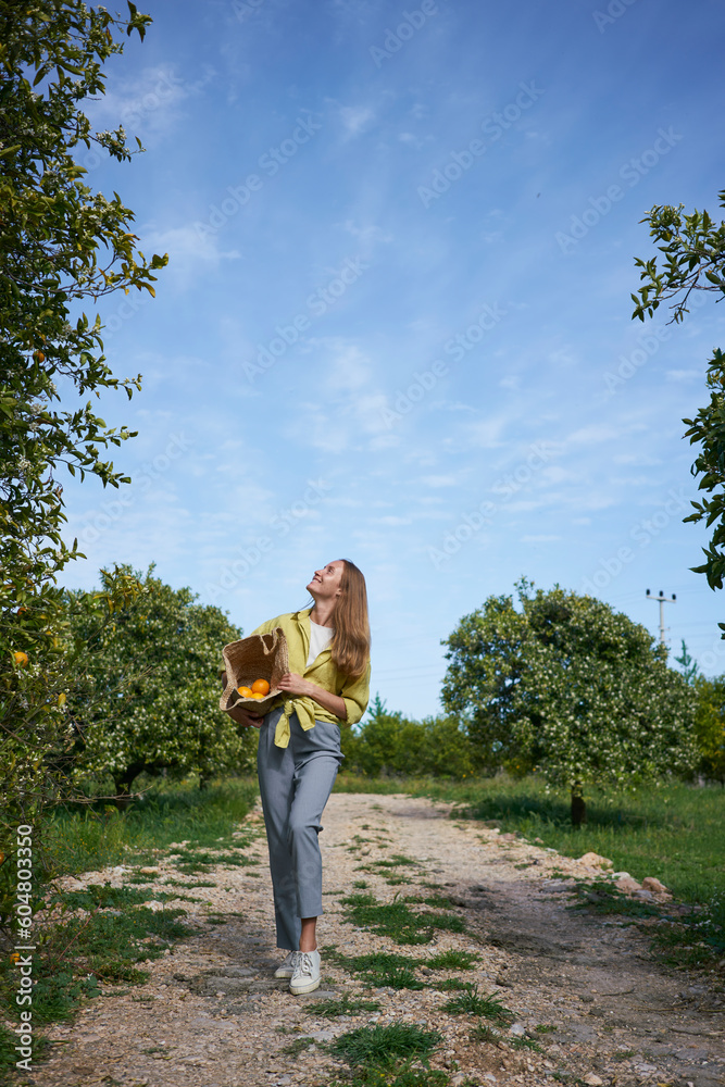 Woman looking at orange tree standing on footpath in orchard Woman looking at orange tree standing on footpath in orchard
