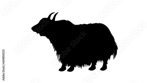 Yak silhouette