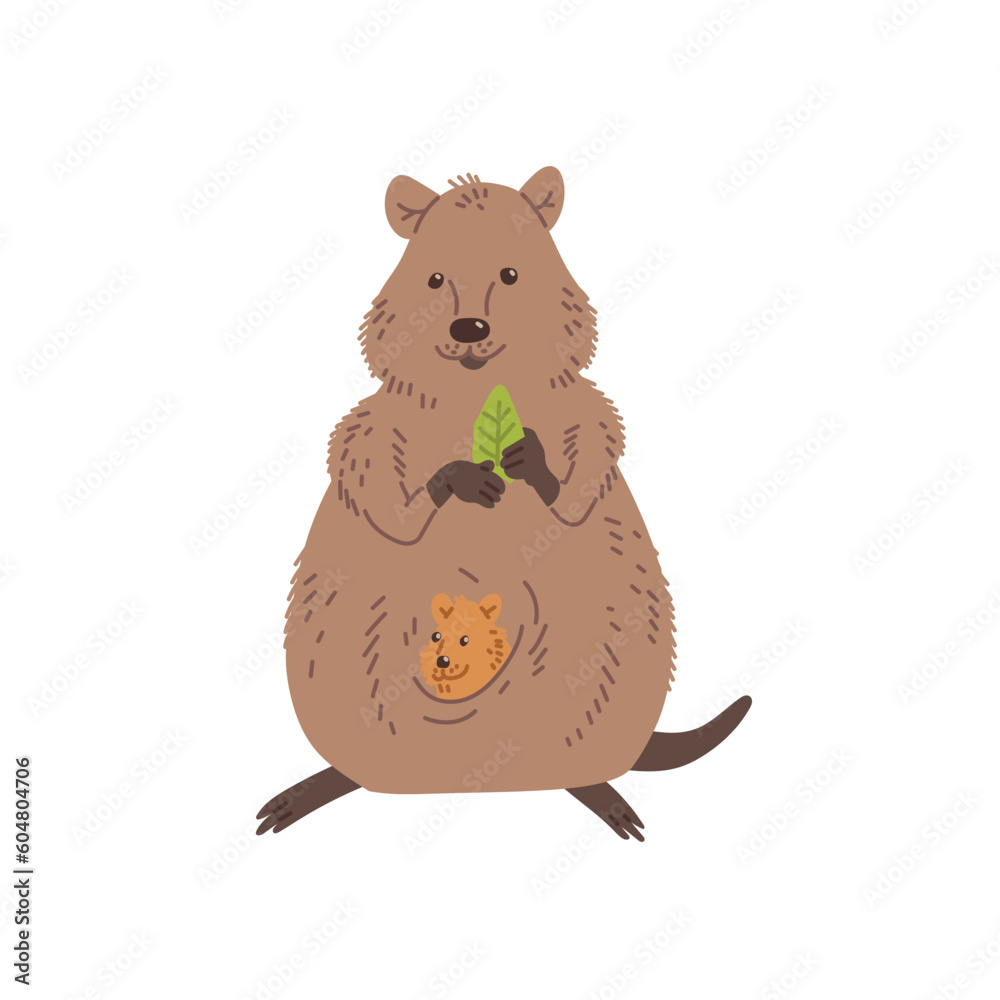 Cute mother quokka with smiling cub holding eucalyptus leaf flat style Cute mother quokka with smiling cub holding eucalyptus leaf flat style
