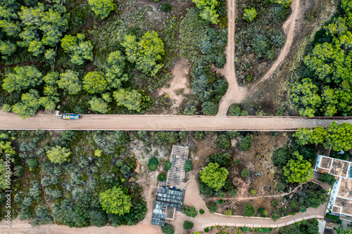 Spain, Balearic Islands, Formentera, Drone view of trees surrounding empty road