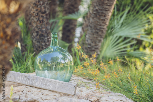 Spain, Balearic Islands, Formentera, Empty carboy standing in front of palm trees