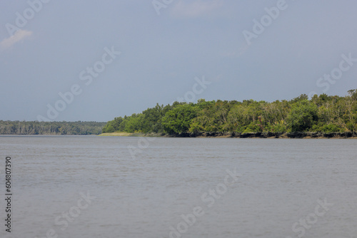 Sundarbans National Park.Sundarbans is a tidal wetland forest delta with an area of about 10,200 square km across India and Bangladesh. this photo was taken from Bangladesh.
