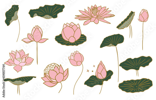 pink lotus object desing for postcard