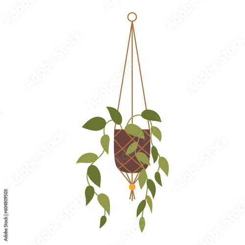 Scindapsus are hanging cotton cord macrame plant hanger, cartoon style. Trendy modern vector illustration isolated on white background, hand drawn, flat design