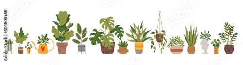 Set of trendy indoor houseplants. Potted plants for home, urban jungle decor. Modern vector illustration isolated on white background, hand drawn, flat design