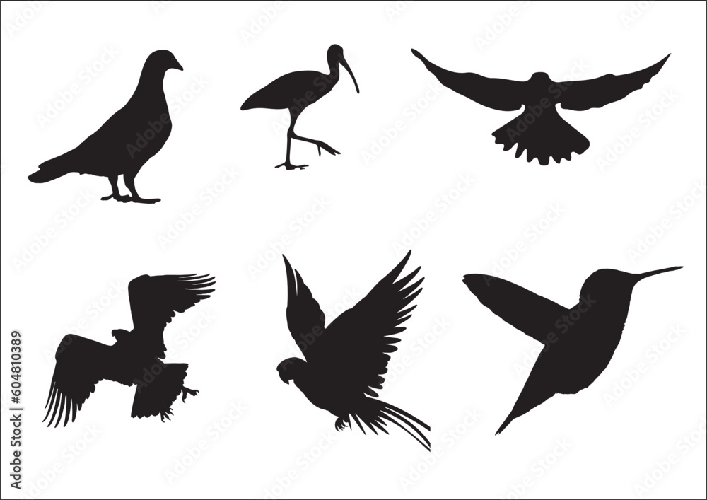 Obraz premium set of silhouettes of birds