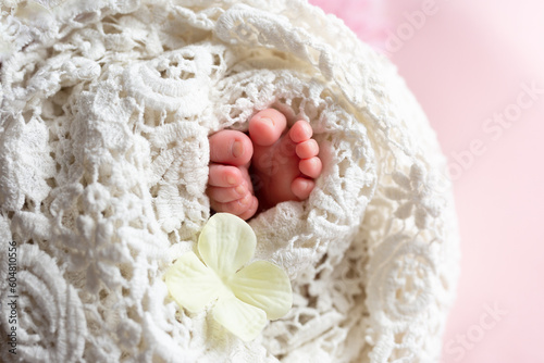 legs of a newborn baby. lace legs.