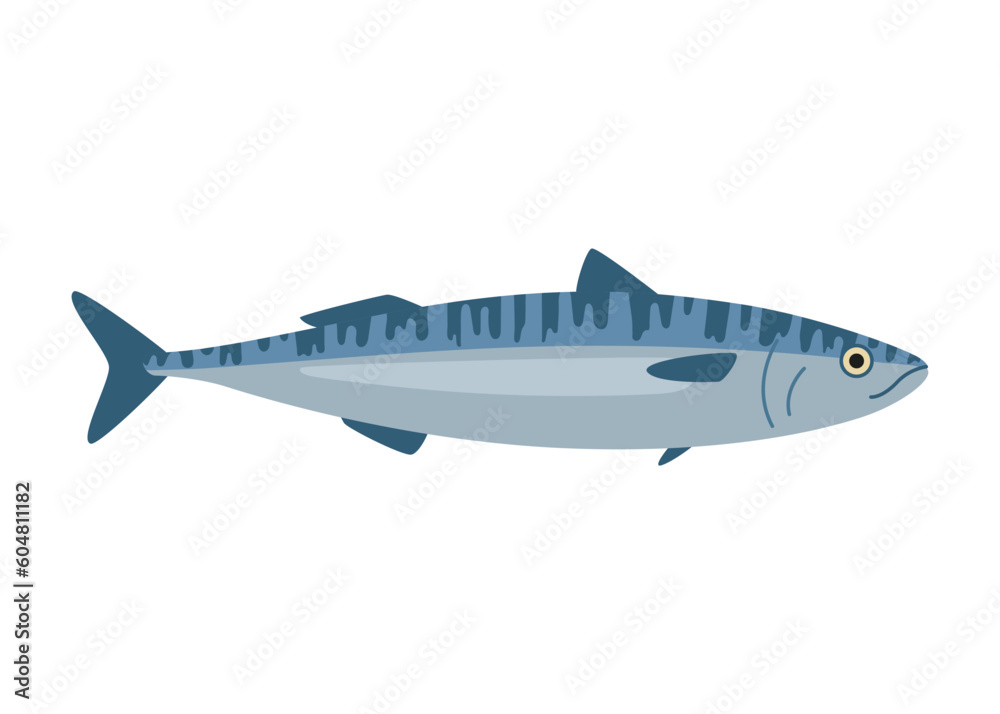 Mackerel, scomber seafood and underwater animal. Water delicacy, gourmet. Fishing. Vector illustration isolated
