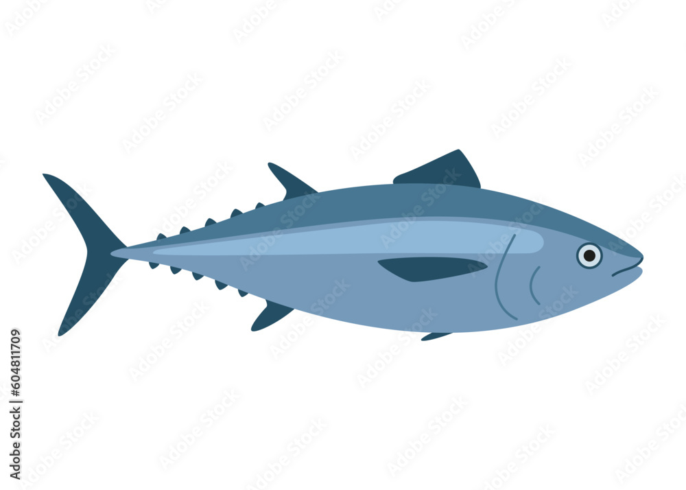 Tuna, bluefin fish, seafood and underwater color animal. Water delicacy, gourmet. Fishing. Vector illustration isolated Tuna, bluefin fish, seafood and underwater color animal. Water delicacy, gourmet. Fishing. Vector illustration isolated