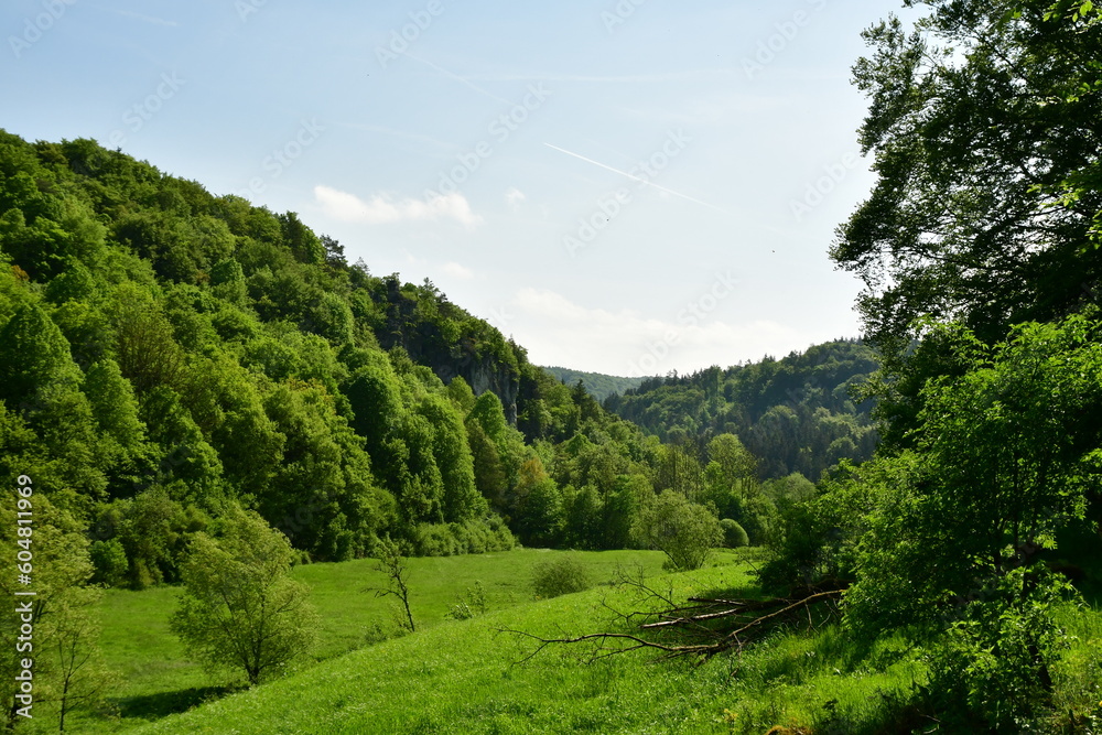 Meadow in valley with the hills of franken Germany trees
