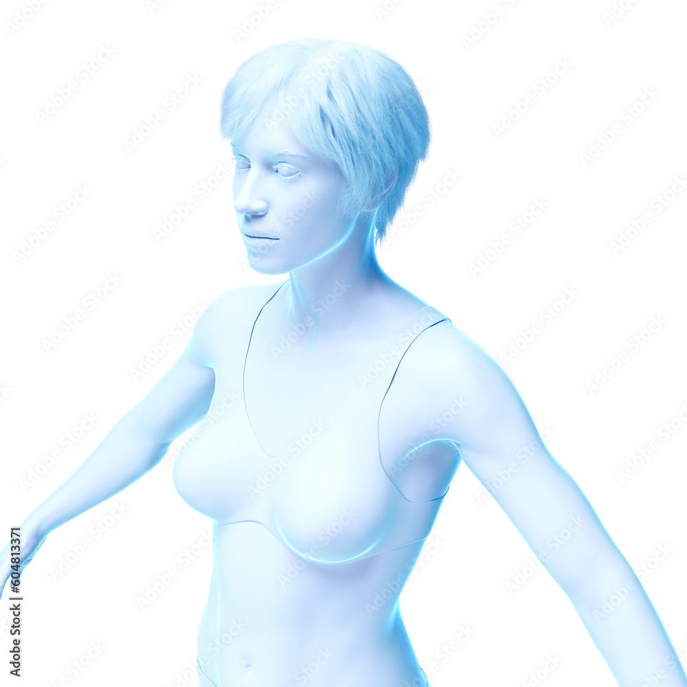 Naklejka premium 3d medical illustration of the female body