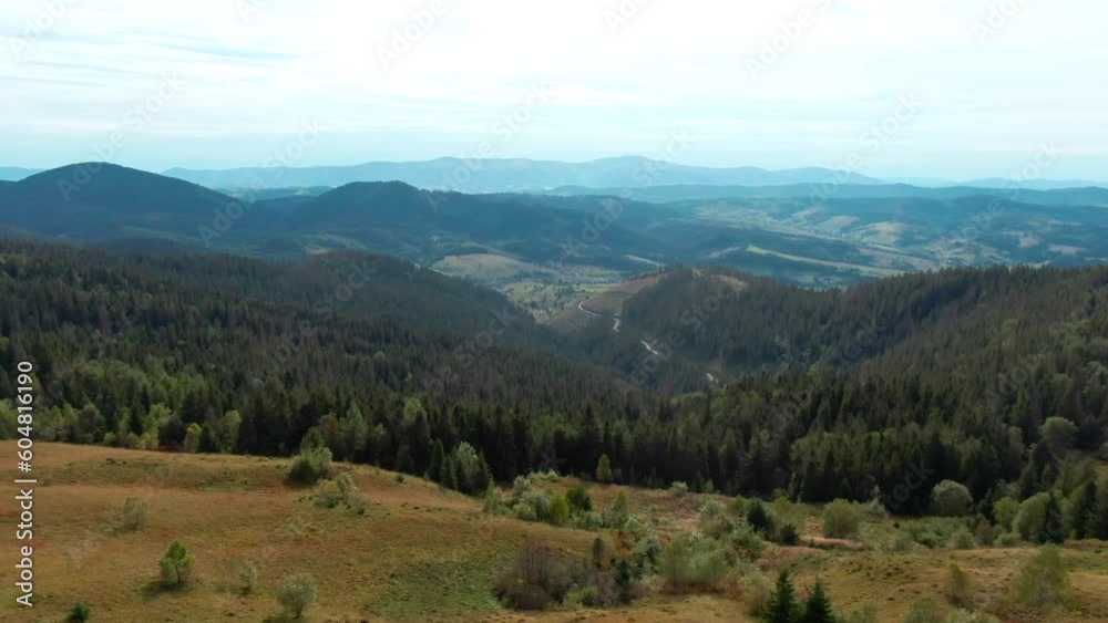 Drone flying over mountain meadow to coniferous forest in the morning. Wide shot picturesque Carpathian mountains landscape outdoors with no people Drone flying over mountain meadow to coniferous forest in the morning. Wide shot picturesque Carpathian mountains landscape outdoors with no people