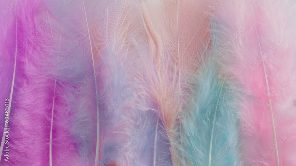 Fototapeta premium pink feather wool pattern texture background