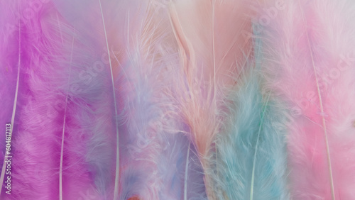 pink feather wool pattern texture background