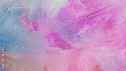 pink feather wool pattern texture background