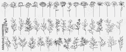 Flowers Linear Drawing Set. Vector Abstract Flowers and Leaves Linear Illustration Set. Botanical Trendy Minimalist Contour Drawing. Continuous Line Art of Flowers. Hand Drawn Floral Black Sketch.